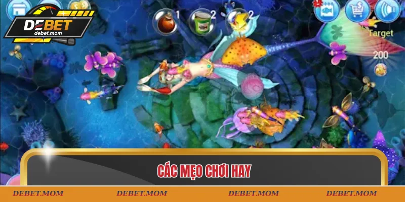 Các mẹo chơi hay