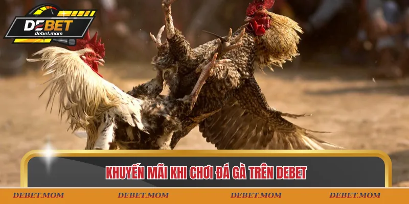 Khuyến mãi khi chơi đá gà trên DEBET