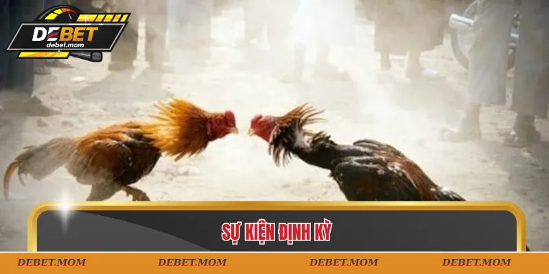 Sự kiện định kỳ