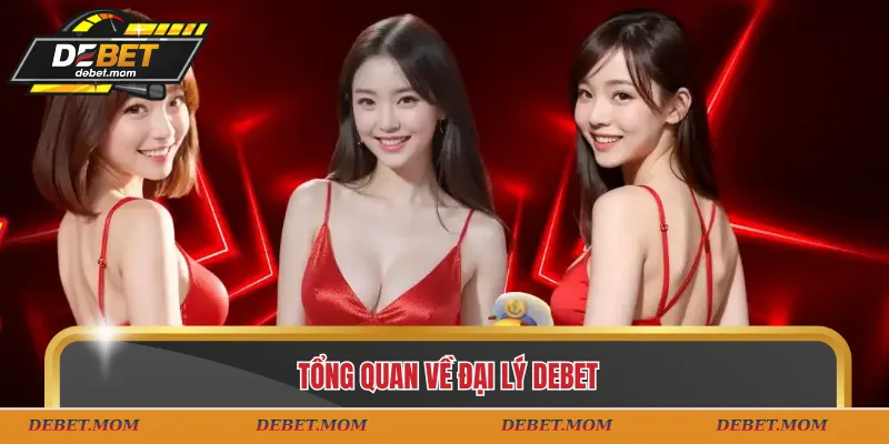 Tổng quan về đại lý DEBET